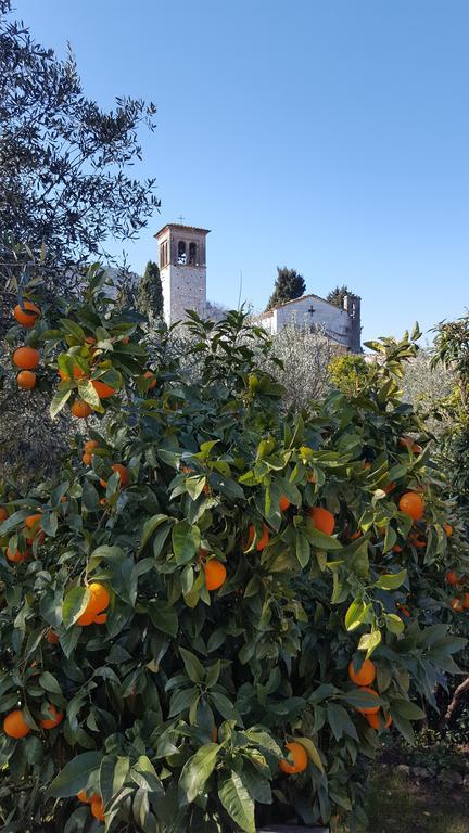 Casolare Al Dopolavoro Villa Lucca Buitenkant foto