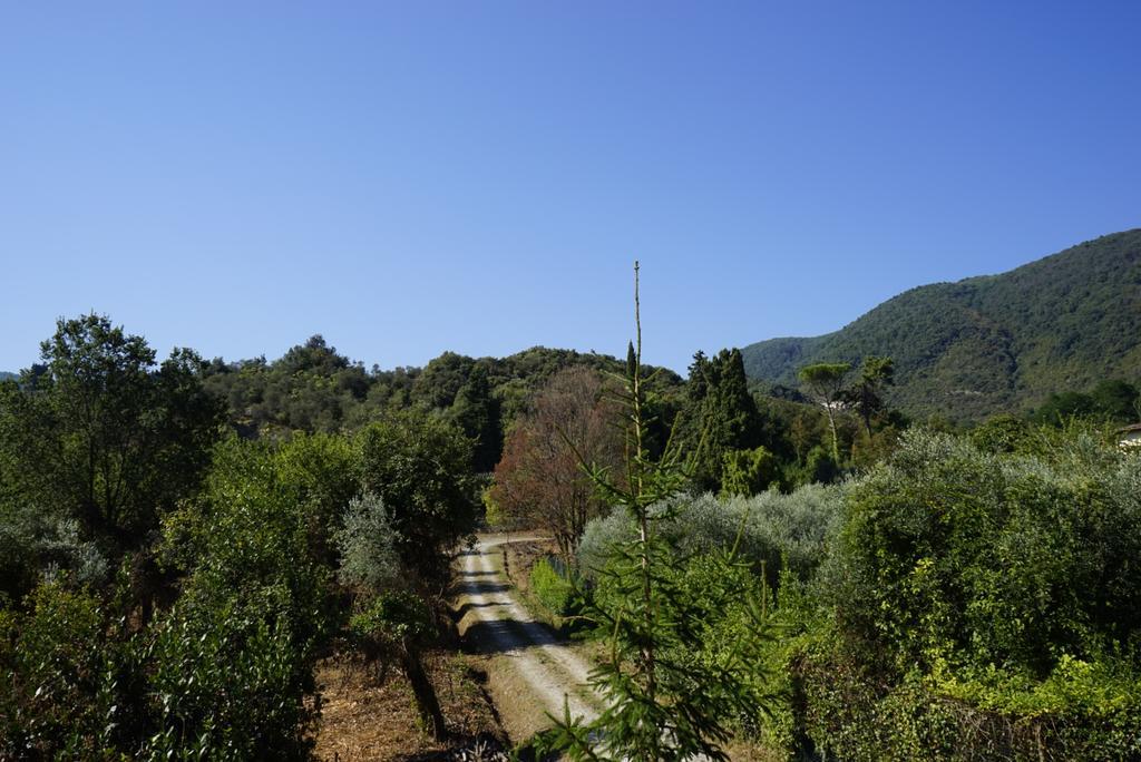 Casolare Al Dopolavoro Villa Lucca Buitenkant foto